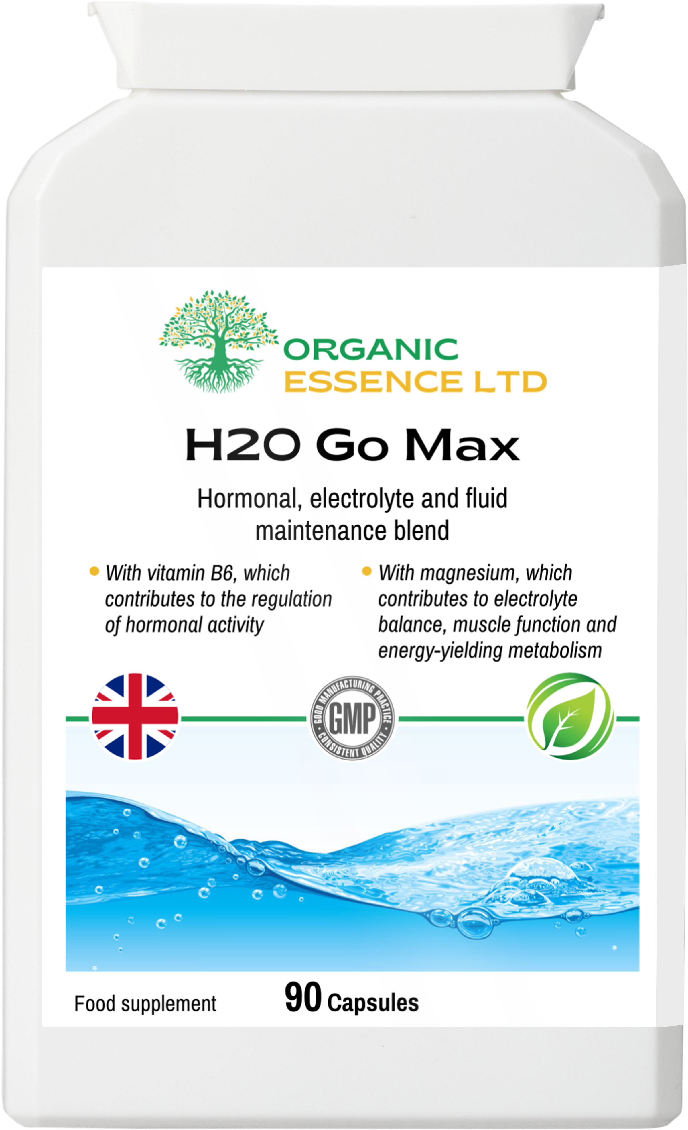 H2O Go Max